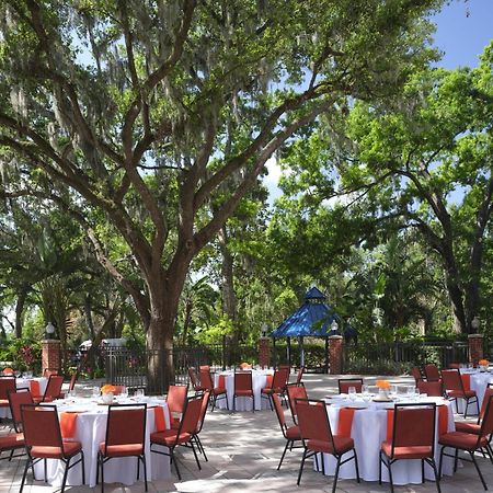 Hilton Garden Inn Tampa East Brandon Mango Eksteriør billede
