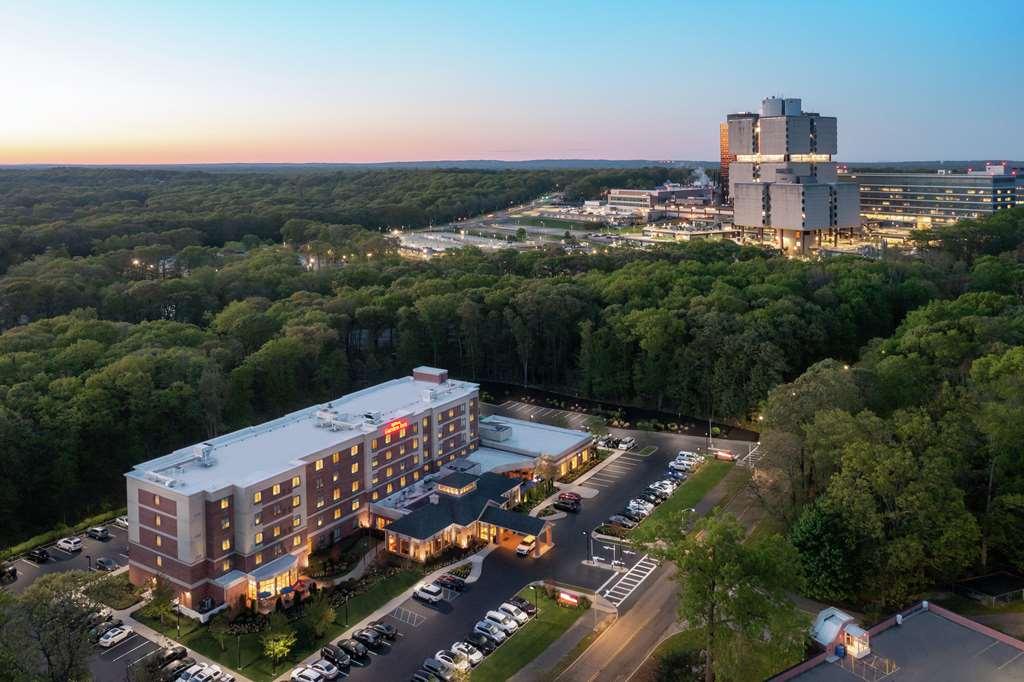 Hilton Garden Inn Tampa East Brandon Mango Eksteriør billede