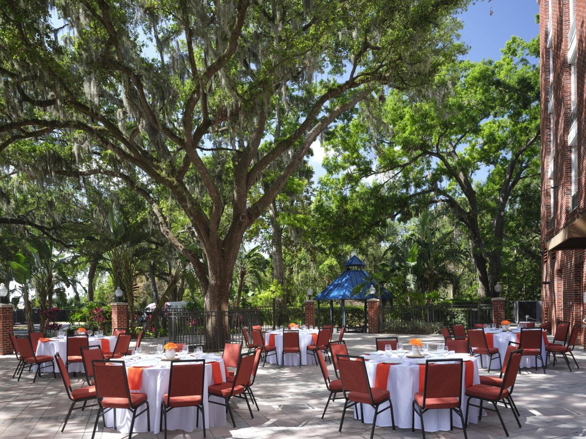 Hilton Garden Inn Tampa East Brandon Mango Eksteriør billede